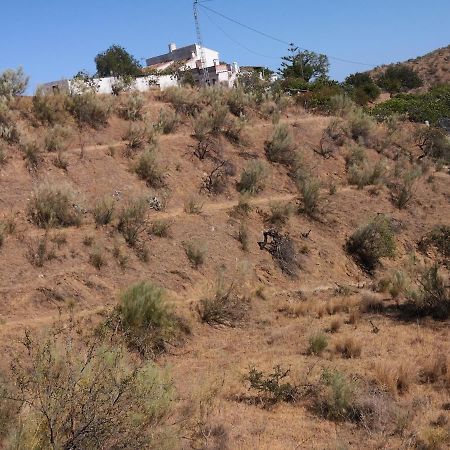 Finca La Pimienta ピサラ エクステリア 写真